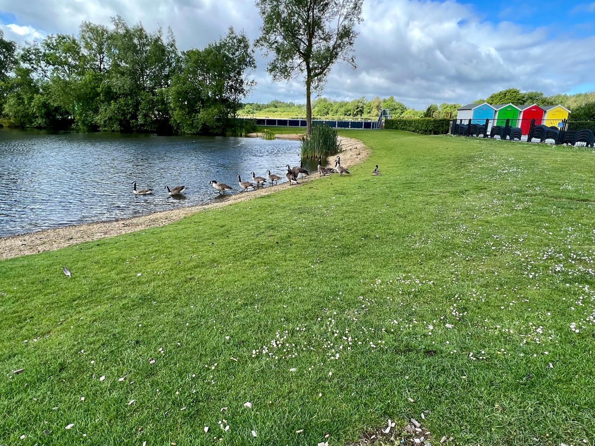 Cottontail Lodge - Hot Tub - Pet Friendly South Cerney Exteriör bild